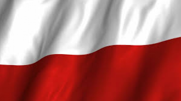 Petycja w sprawie bezczeszczenia polskiej flagi przez angielskich kibiców