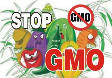STOP GMO W POLSCE