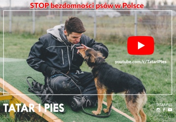 STOP bezdomności psów w Polsce