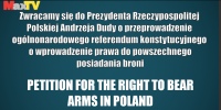 Referendum w sprawie prawa do broni